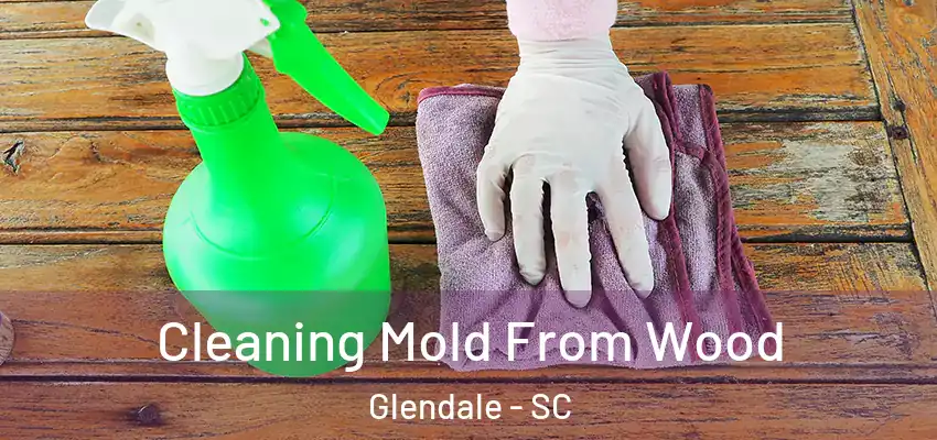 Cleaning Mold From Wood Glendale - SC