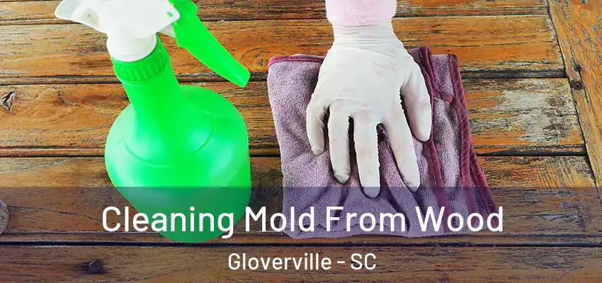  Cleaning Mold From Wood Gloverville - SC