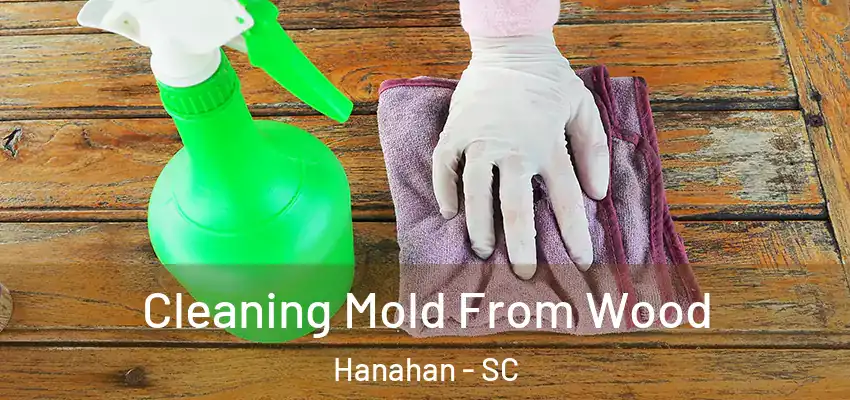 Cleaning Mold From Wood Hanahan - SC