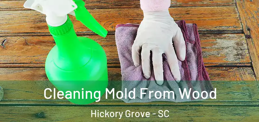  Cleaning Mold From Wood Hickory Grove - SC