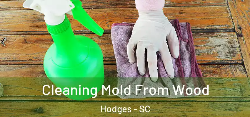Cleaning Mold From Wood Hodges - SC