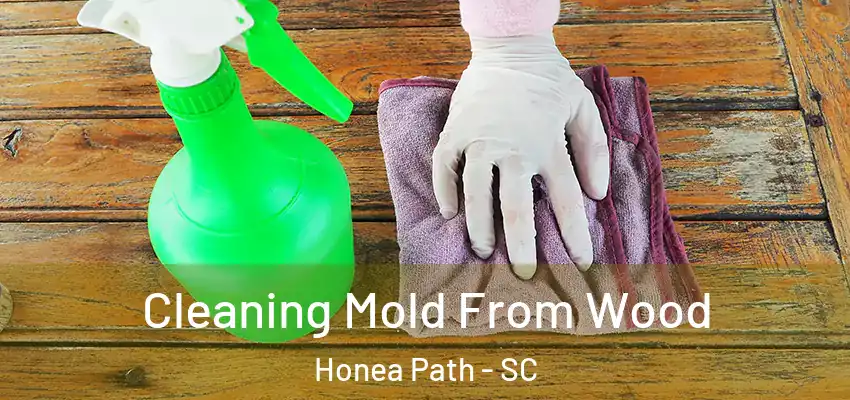  Cleaning Mold From Wood Honea Path - SC