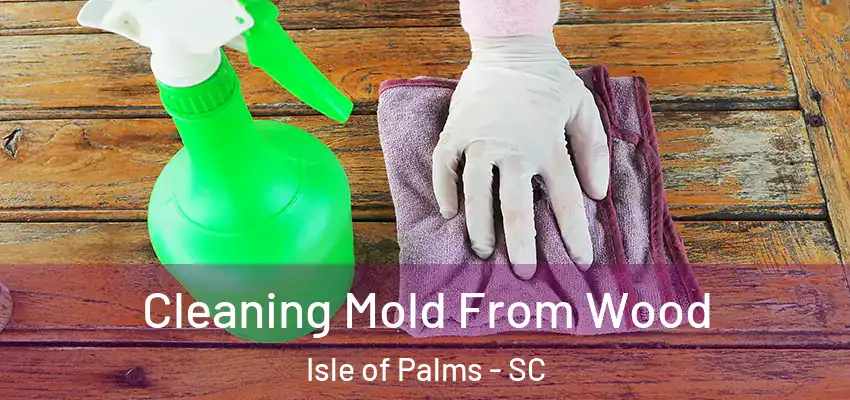  Cleaning Mold From Wood Isle of Palms - SC