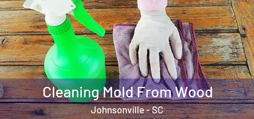  Cleaning Mold From Wood Johnsonville - SC