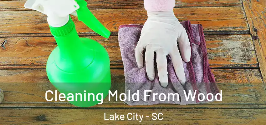  Cleaning Mold From Wood Lake City - SC