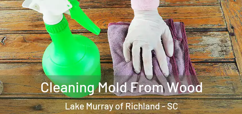 Cleaning Mold From Wood Lake Murray of Richland - SC