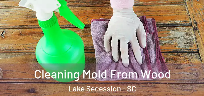 Cleaning Mold From Wood Lake Secession - SC