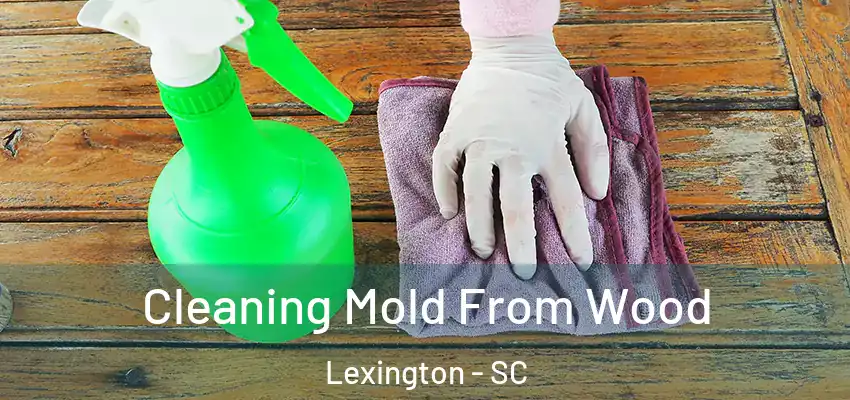  Cleaning Mold From Wood Lexington - SC