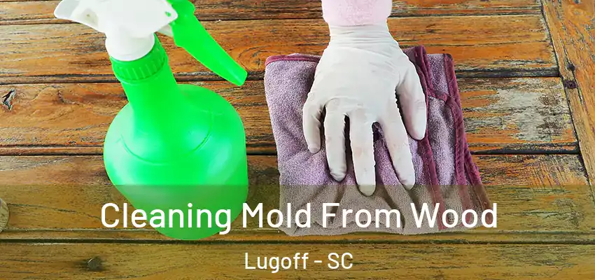 Cleaning Mold From Wood Lugoff - SC