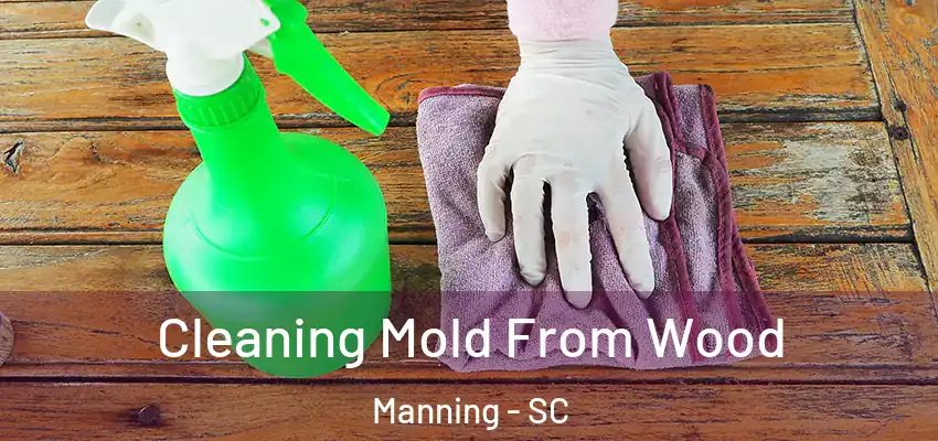 Cleaning Mold From Wood Manning - SC