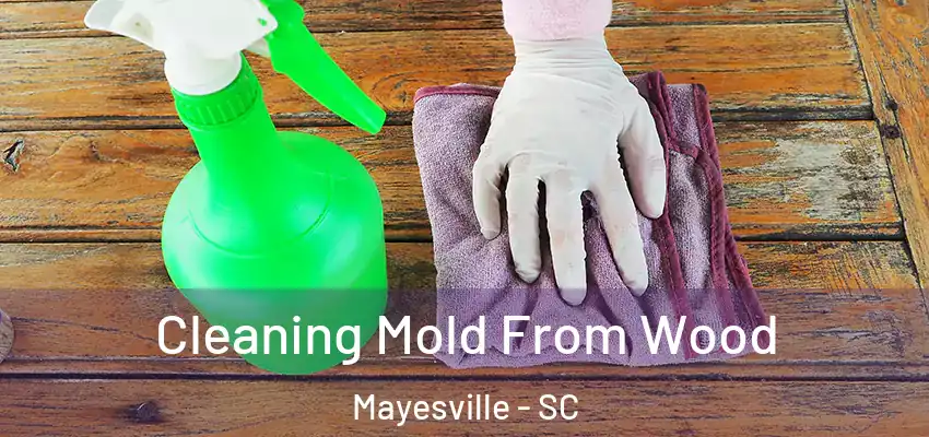 Cleaning Mold From Wood Mayesville - SC