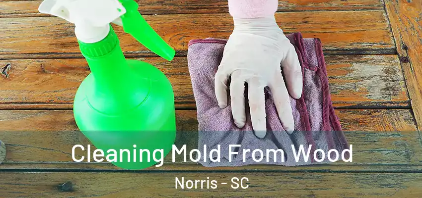 Cleaning Mold From Wood Norris - SC