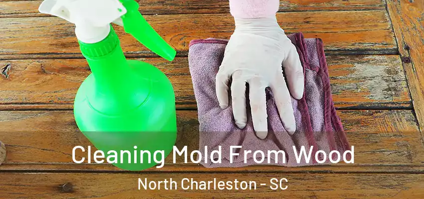 Cleaning Mold From Wood North Charleston - SC