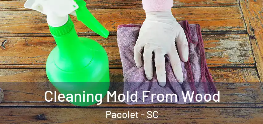  Cleaning Mold From Wood Pacolet - SC