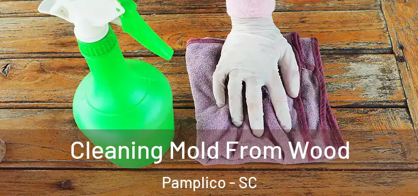  Cleaning Mold From Wood Pamplico - SC