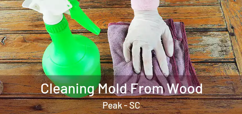  Cleaning Mold From Wood Peak - SC