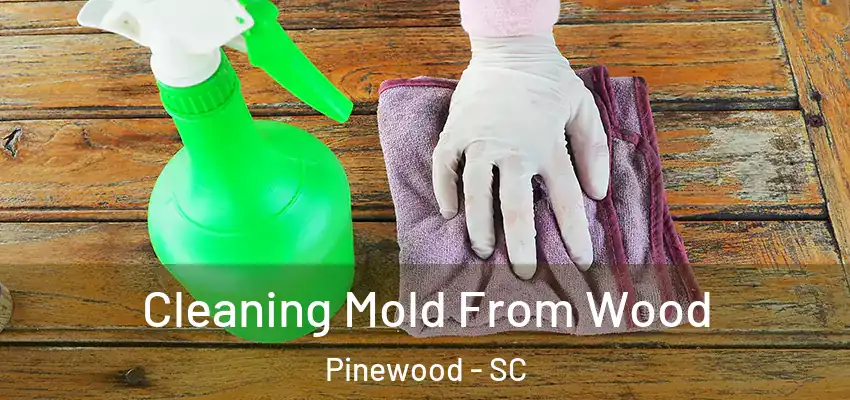  Cleaning Mold From Wood Pinewood - SC