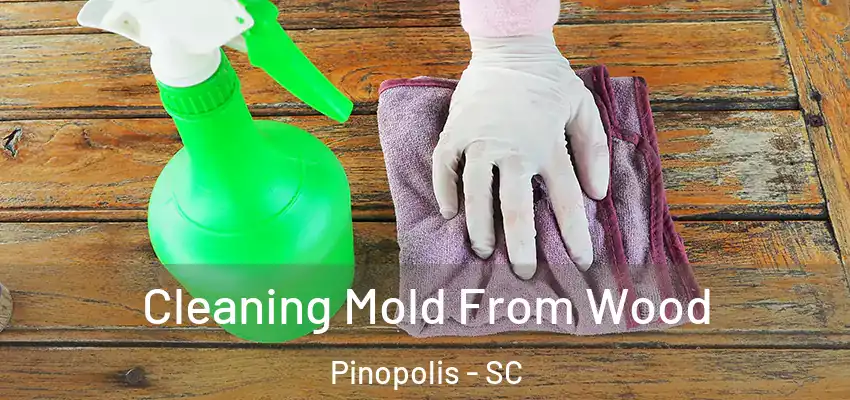  Cleaning Mold From Wood Pinopolis - SC
