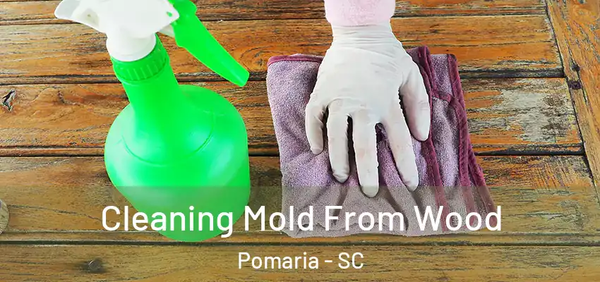  Cleaning Mold From Wood Pomaria - SC