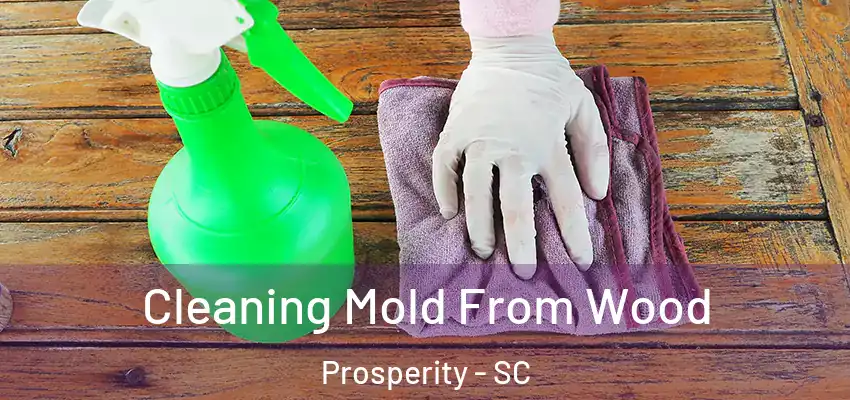  Cleaning Mold From Wood Prosperity - SC