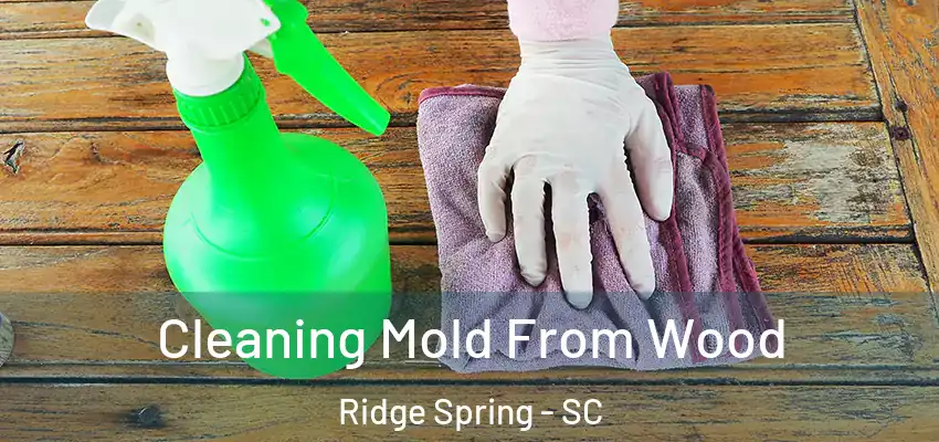 Cleaning Mold From Wood Ridge Spring - SC