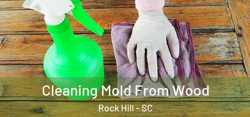  Cleaning Mold From Wood Rock Hill - SC