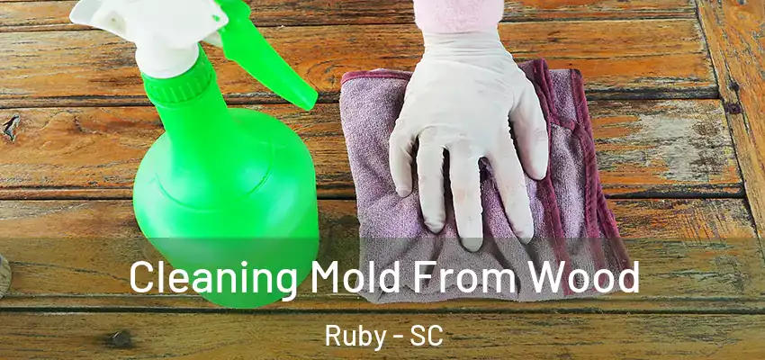 Cleaning Mold From Wood Ruby - SC