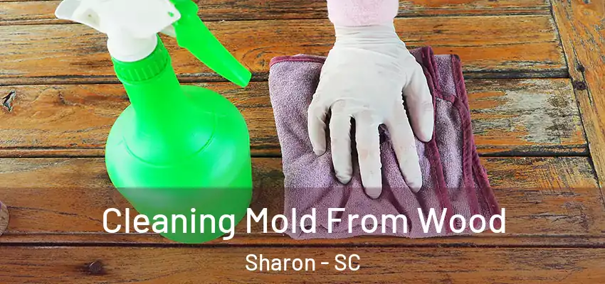 Cleaning Mold From Wood Sharon - SC