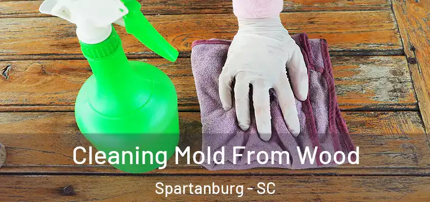 Cleaning Mold From Wood Spartanburg - SC