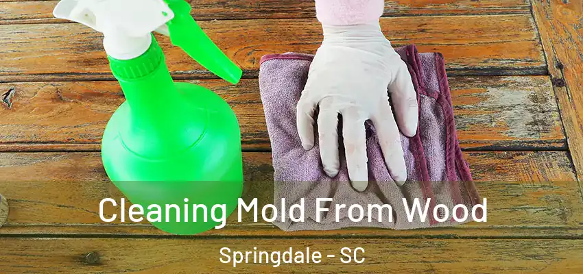  Cleaning Mold From Wood Springdale - SC