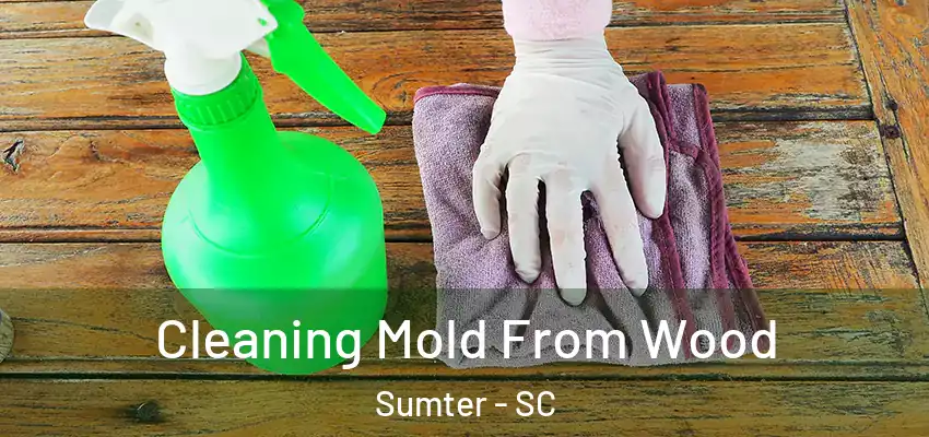  Cleaning Mold From Wood Sumter - SC