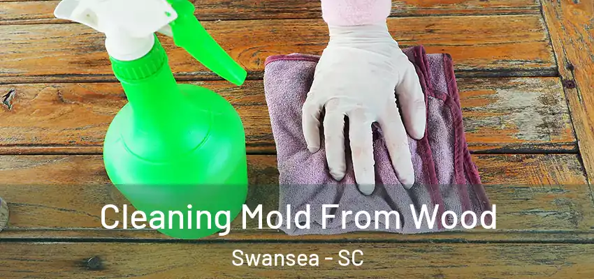 Cleaning Mold From Wood Swansea - SC