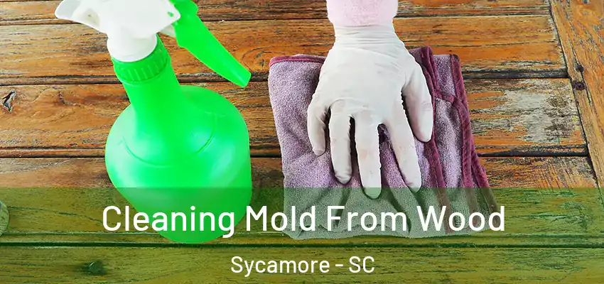 Cleaning Mold From Wood Sycamore - SC