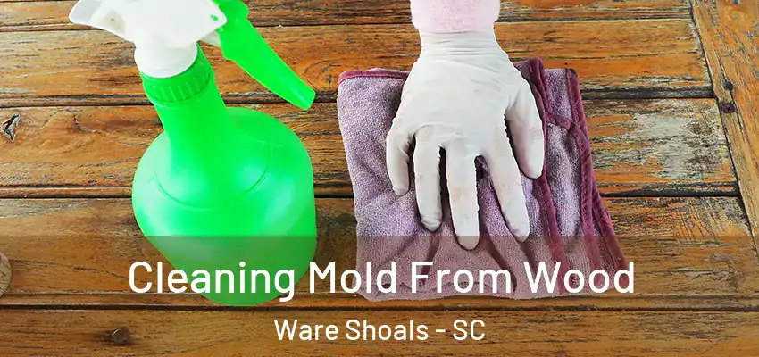  Cleaning Mold From Wood Ware Shoals - SC