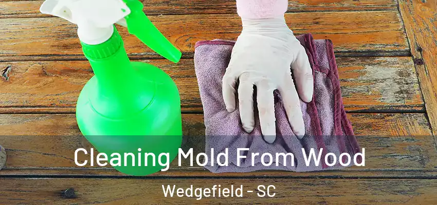  Cleaning Mold From Wood Wedgefield - SC