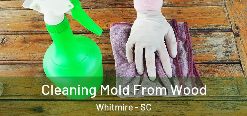 Cleaning Mold From Wood Whitmire - SC