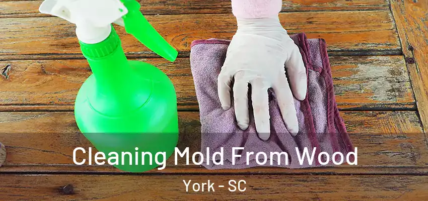 Cleaning Mold From Wood York - SC