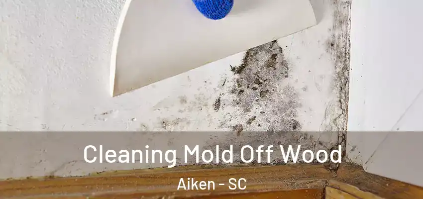 Cleaning Mold Off Wood Aiken - SC