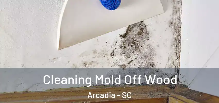  Cleaning Mold Off Wood Arcadia - SC