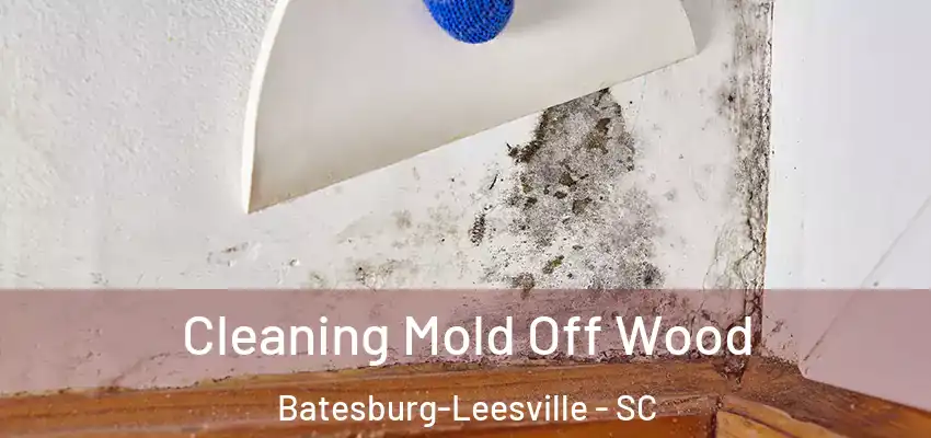  Cleaning Mold Off Wood Batesburg-Leesville - SC
