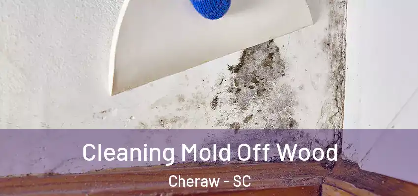  Cleaning Mold Off Wood Cheraw - SC