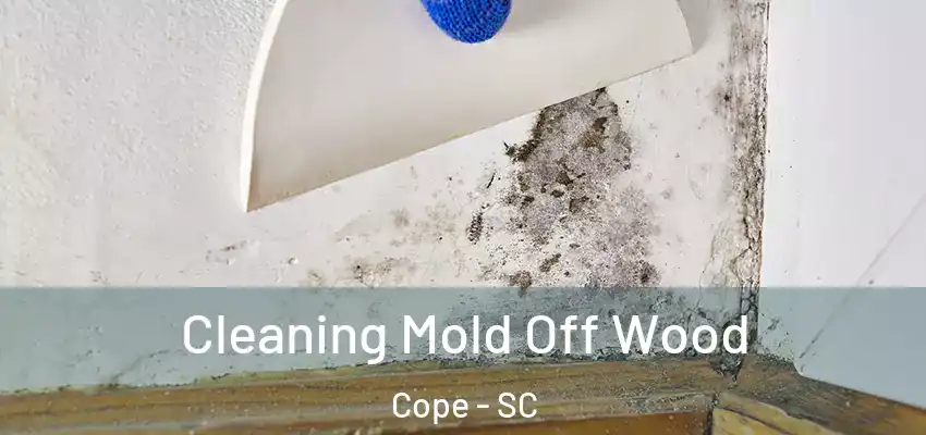  Cleaning Mold Off Wood Cope - SC