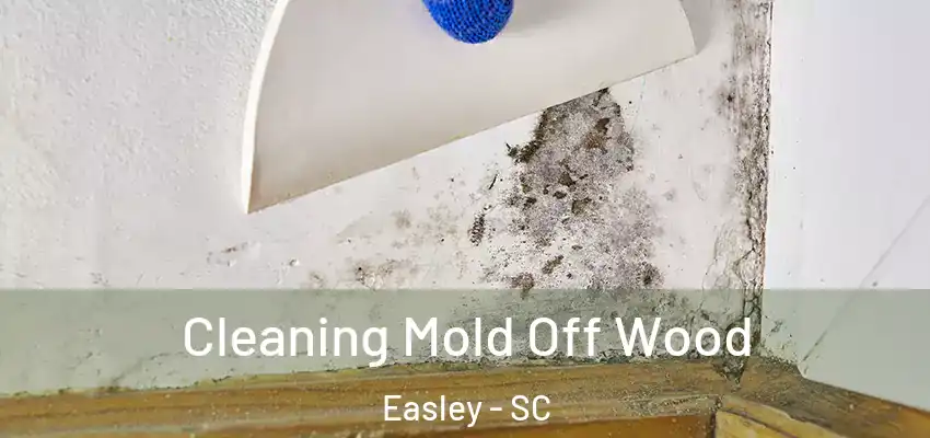 Cleaning Mold Off Wood Easley - SC