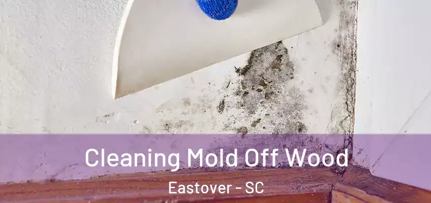 Cleaning Mold Off Wood Eastover - SC