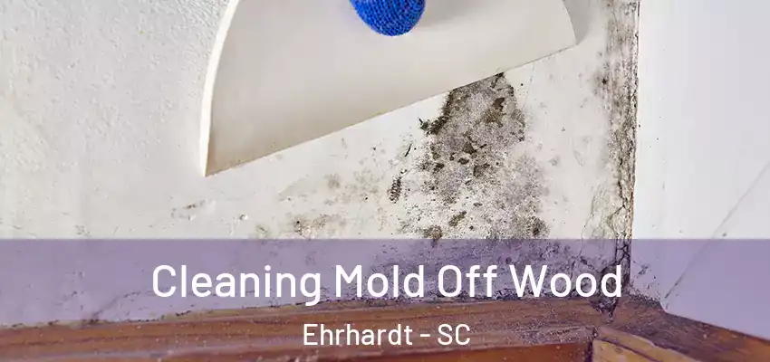  Cleaning Mold Off Wood Ehrhardt - SC