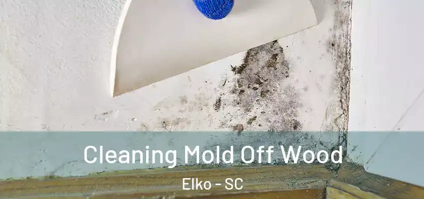 Cleaning Mold Off Wood Elko - SC