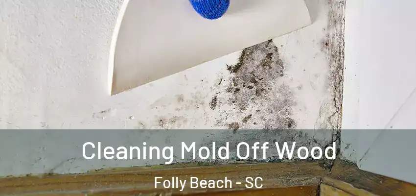 Cleaning Mold Off Wood Folly Beach - SC