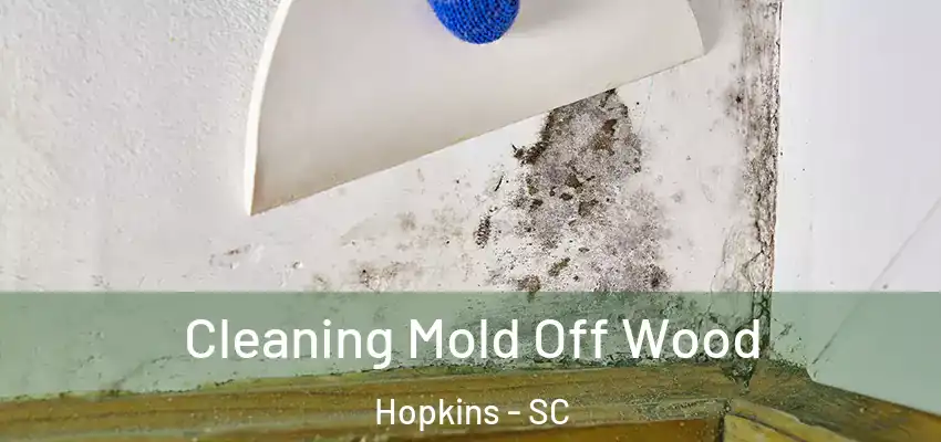 Cleaning Mold Off Wood Hopkins - SC