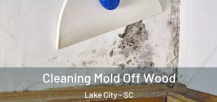  Cleaning Mold Off Wood Lake City - SC