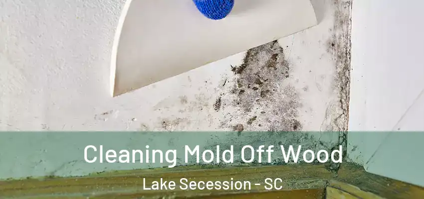 Cleaning Mold Off Wood Lake Secession - SC